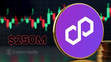 Polygon zkEVM blockchain scalability solution abandoned