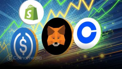 Person checking out on Shopify website using MetaMask wallet for USDC payment.