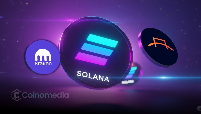 DFDVx tokenized stock on Solana blockchain interface.