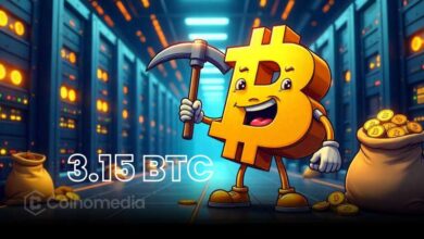 solo Bitcoin miner earns 3.15 BTC from one block