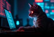 Smartphone gallery with stolen seed phrase screenshot — SparkKitty malware risk