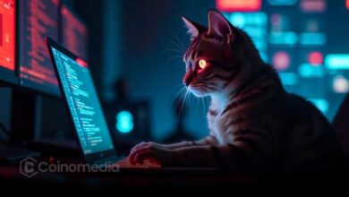 Smartphone gallery with stolen seed phrase screenshot — SparkKitty malware risk