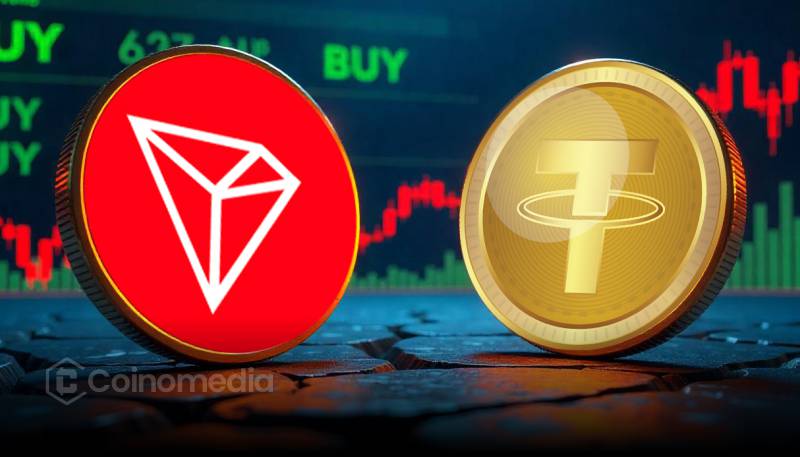 Friday’s Crypto Chatter: TRX & USDT Lead the Pack