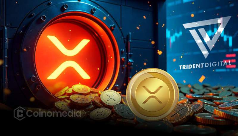 Trident Digital XRP reserve strategy for Ripple ecosystem
