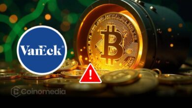 Bitcoin treasury dilution risk illustration