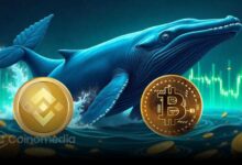 Whale 3NVeXm Deposits 1,613 BTC to Binance