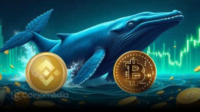 Whale 3NVeXm Deposits 1,613 BTC to Binance