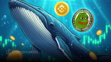PEPE Whale Moves ₿500B from Binance in 30 Minutes