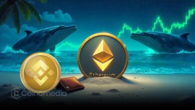 Whale Wallet Moves 26K ETH from Binance in 3 Hours