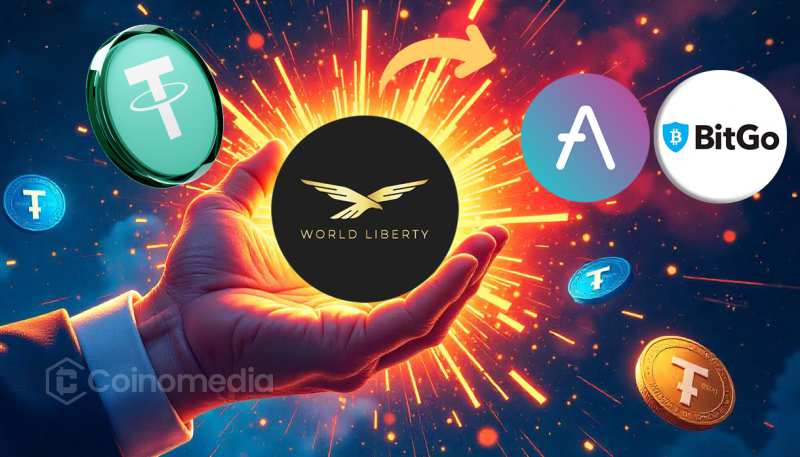 World Liberty Finance Aave transaction involving $52M in assets and $7.5M USDT to BitGo