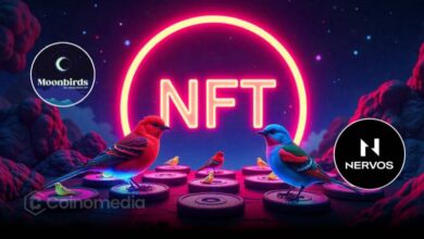 Moonbirds NFT IP acquired by Orange Cap Games