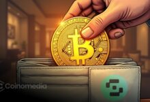 Bitcoin millionaire wallets growth trend chart