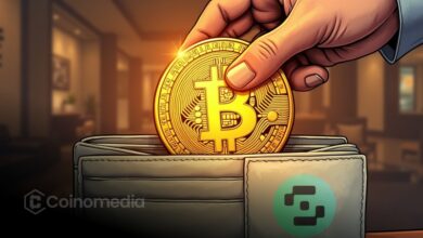 Bitcoin millionaire wallets growth trend chart
