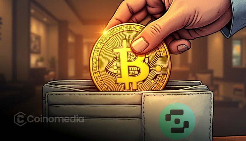 Bitcoin millionaire wallets growth trend chart