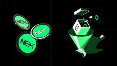 Presale Investors Target Early Bird Opportunity On Nexchain To Beat XRP And ADA