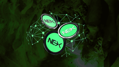 2025's Best Crypto Presale Picks Right Now: Nexchain, Unstaked, & BTC Bull Token