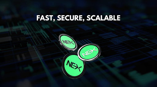 HYPE Hits an All‑Time High – Nexchain Gains Traction in Crypto Presale Stage 18