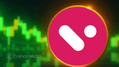 Velo 260% bounce from support chart analysis