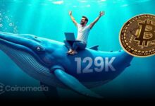 Bitcoin Bull Market Peak May Be Just Months Away