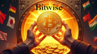 Bitwise chart showing corporate Bitcoin holdings at 847K BTC worth $91B