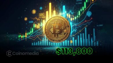 Bitcoin Hits New ATH at $113,800 After Trendline Break