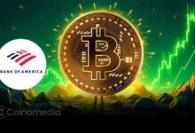 Bank of America report highlighting Bitcoin as 2025's top currency