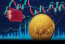Bitcoin-Puell
