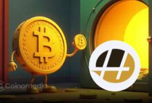 Hamak Limited Bitcoin investment announcement