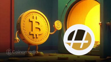 Hamak Limited Bitcoin investment announcement