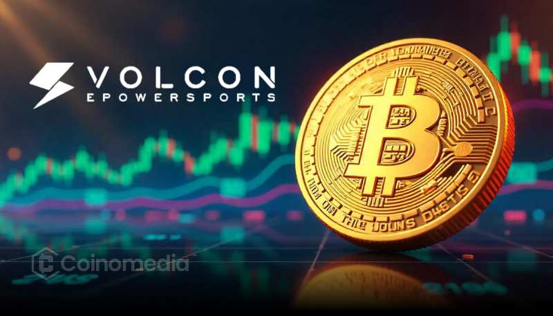 Volcon Bitcoin buyback strategy with $100M stock repurchase plan