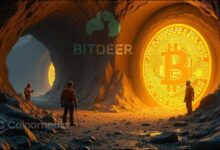 Bitdeer BTC holdings graphic depicting mined coins and total reserves