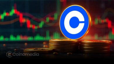 Coinbase coin stock reaching new all-time high on trading chart