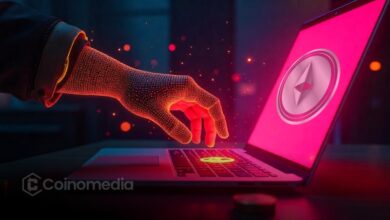 Blockchain chart showing ETH price movements and hacker wallet trades”
