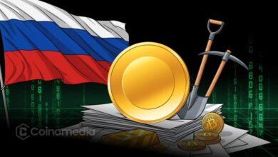 crypto mining registry system Russia electricity regulation