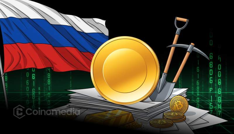 crypto mining registry system Russia electricity regulation