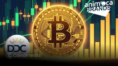 DDC and Animoca $100M Bitcoin strategic partnership announcement