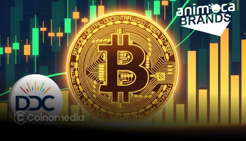 DDC and Animoca $100M Bitcoin strategic partnership announcement