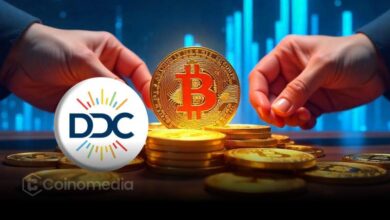 “DDC Bitcoin treasury rising chart”