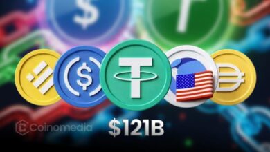 ERC-20 stablecoin supply chart showing record $121B high