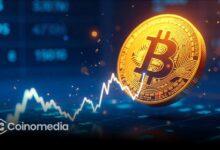 Bitcoin price projection reaching 166k golden ratio target.