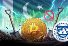 Visual of Bitcoin mining rigs overlaid on a map of Pakistan’s power grid, symbolizing the subsidy proposal.