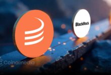 Maple Finance AUM surpasses BlackRock BUIDL fund