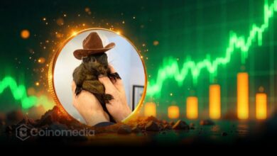 PNUT rounding bottom pattern chart signals bullish breakout potential