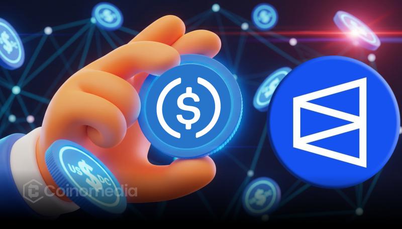 Polymarket exploring stablecoin launch to earn yield from USDC reserves