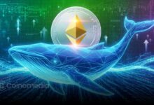 Retail Sells While Whales Quietly Accumulate Ethereum