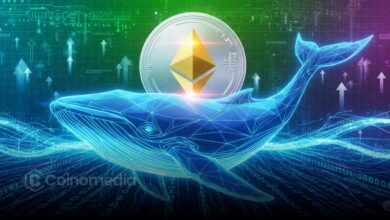 Retail Sells While Whales Quietly Accumulate Ethereum