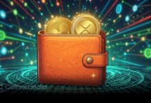 Ripple XRP transfer of 200 million tokens to unknown wallet