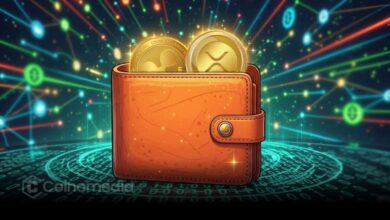 Ripple XRP transfer of 200 million tokens to unknown wallet