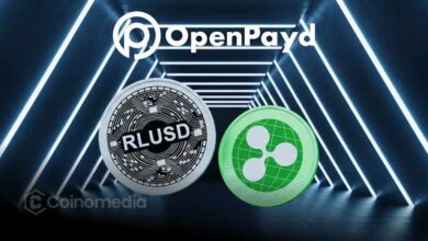 Enterprise-grade RLUSD stablecoin powering global payments