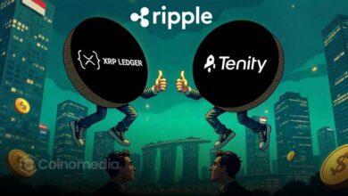 “XRPL Accelerator Singapore program logo”, “XRPL blockchain mentorship in Singapore”